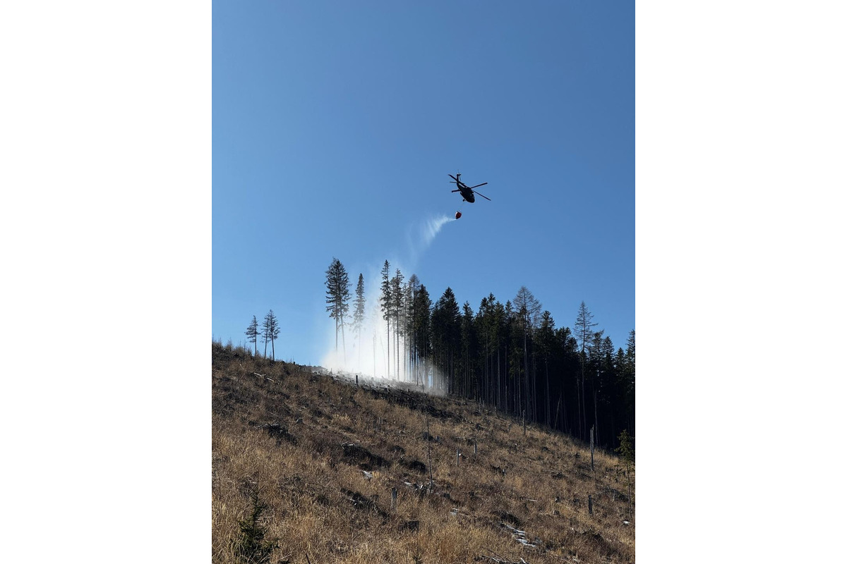 FOTO: Následky lesného požiaru v katastri obce Spišská Teplica, foto 8