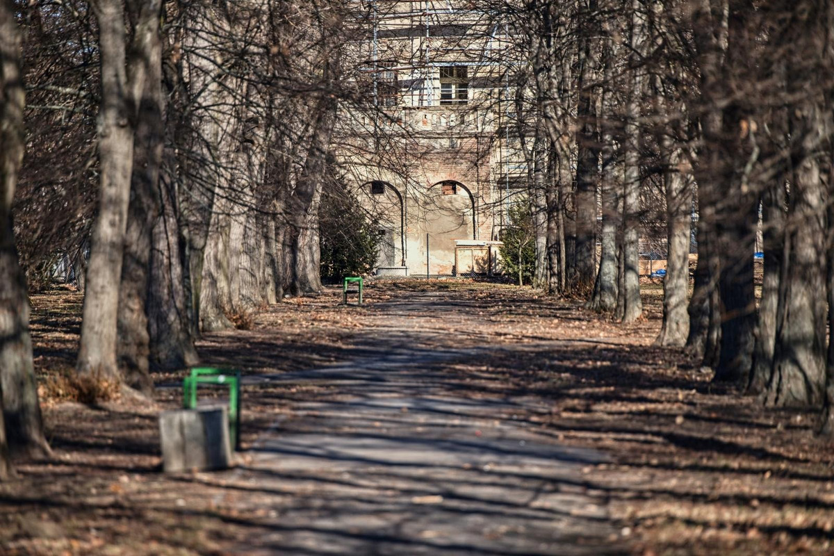 FOTO: Správca Pánskej záhrady má obdiv celej štvrte. Park žiari čistotou, foto 1