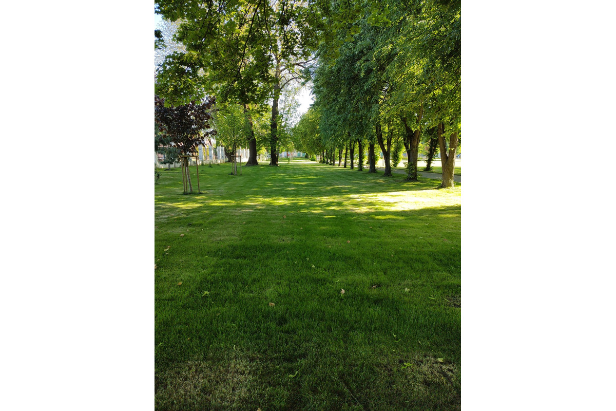 FOTO: Správca Pánskej záhrady má obdiv celej štvrte. Park žiari čistotou, foto 8