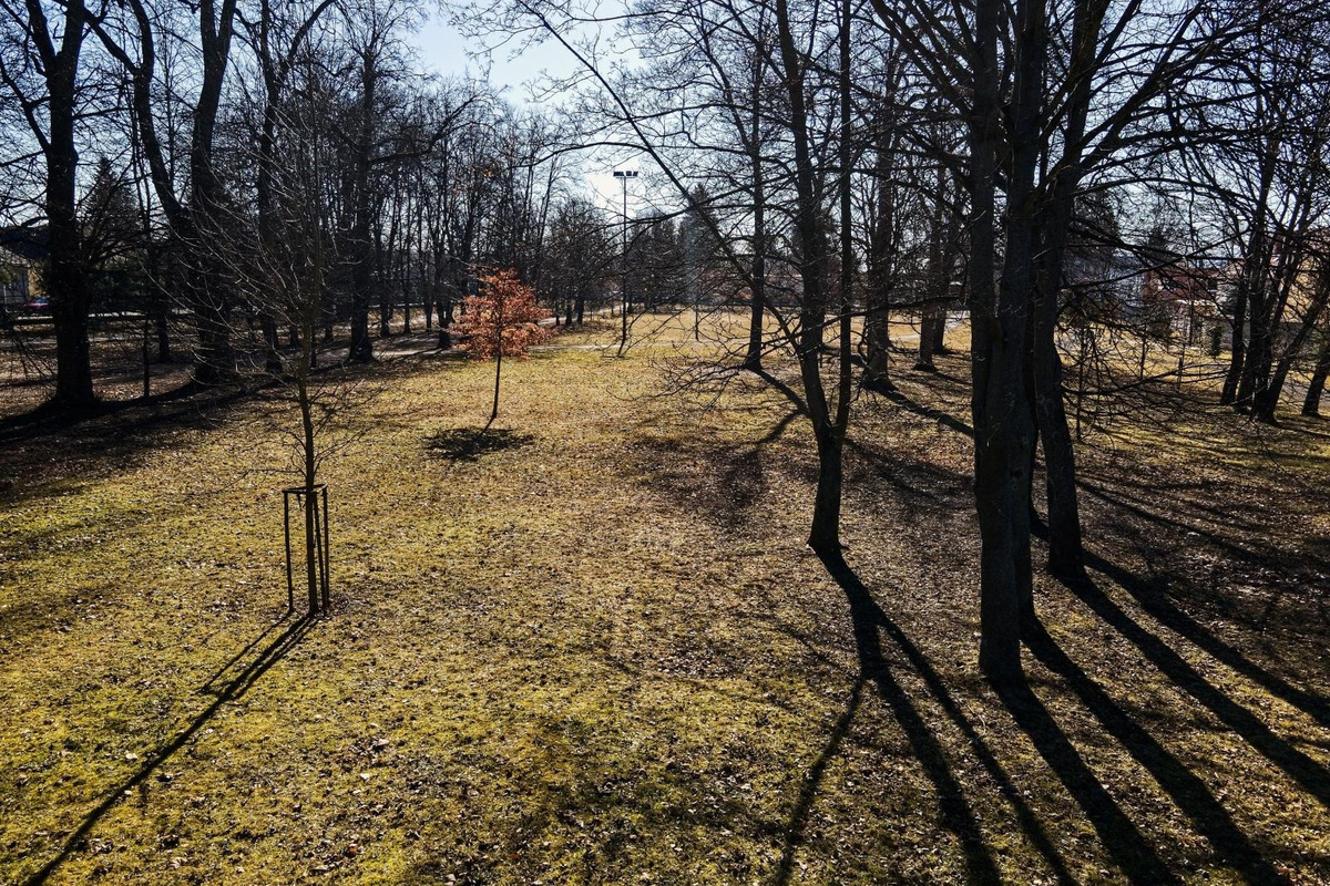 FOTO: Správca Pánskej záhrady má obdiv celej štvrte. Park žiari čistotou, foto 10