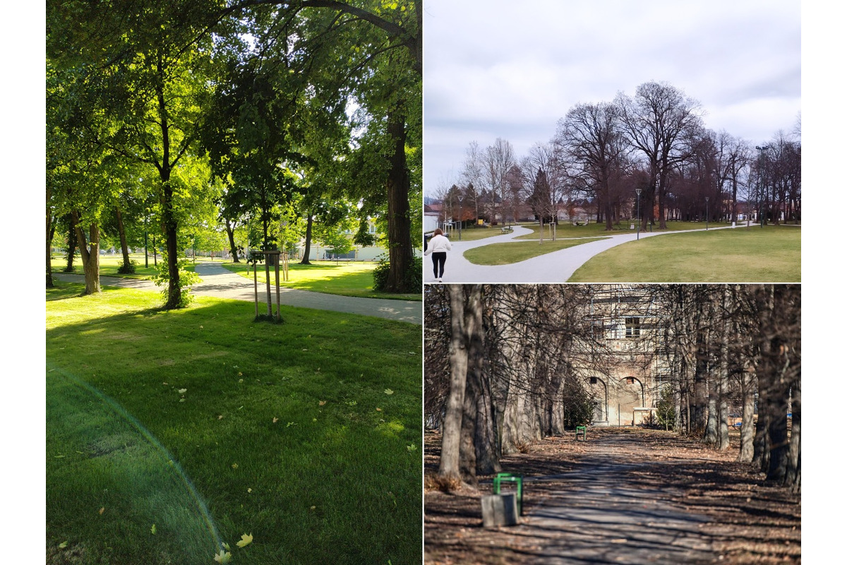 FOTO: Správca Pánskej záhrady má obdiv celej štvrte. Park žiari čistotou, foto 11