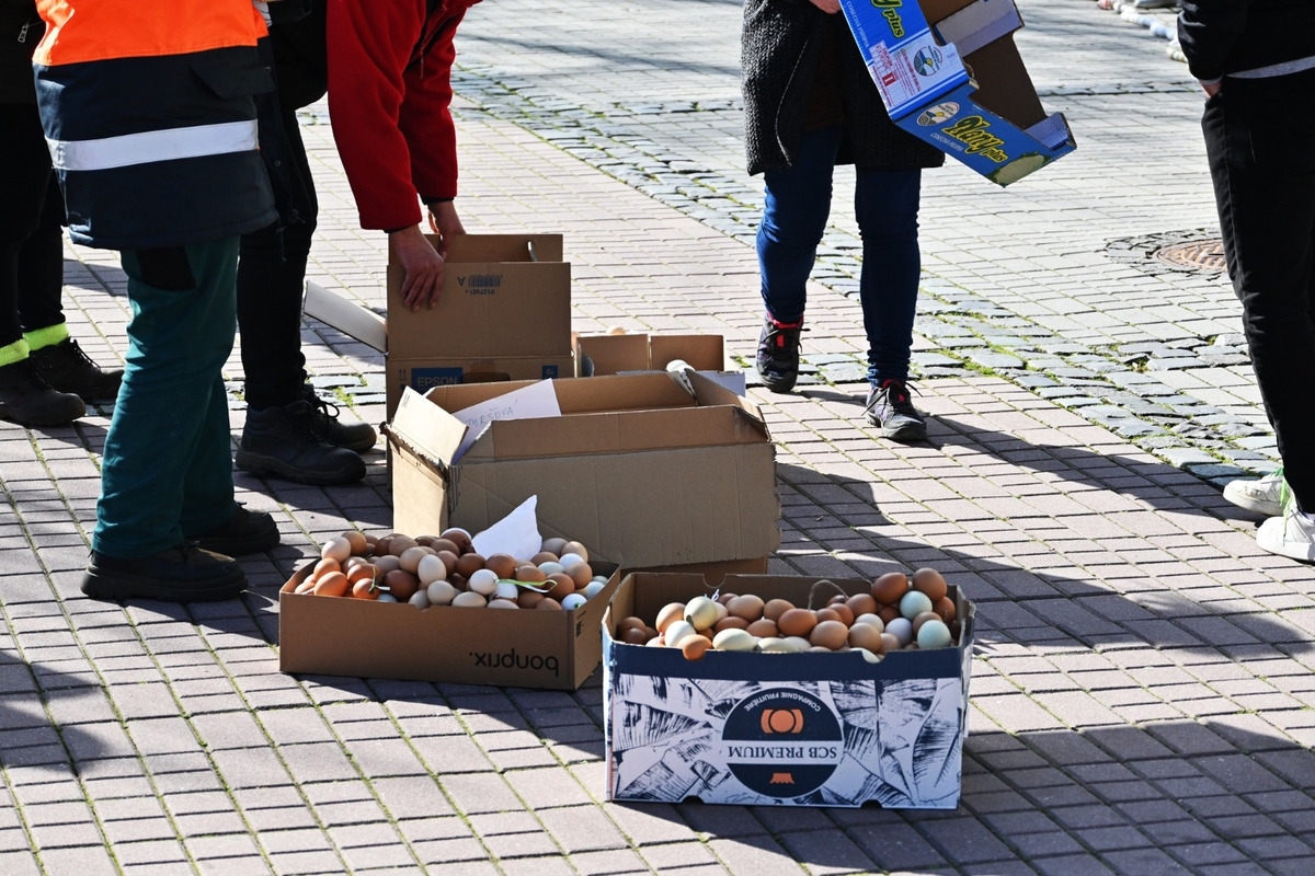 FOTO: Námestie Humenného lemovala 400-metrová reťaz z vyfúknutých vajíčok, foto 6