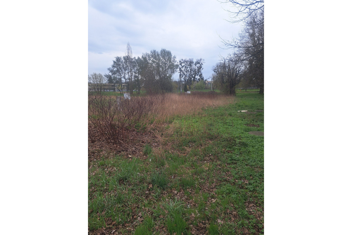 FOTO: Riaditeľka Kauflandu prekvapila Prešovčana rýchlou reakciou, foto 1