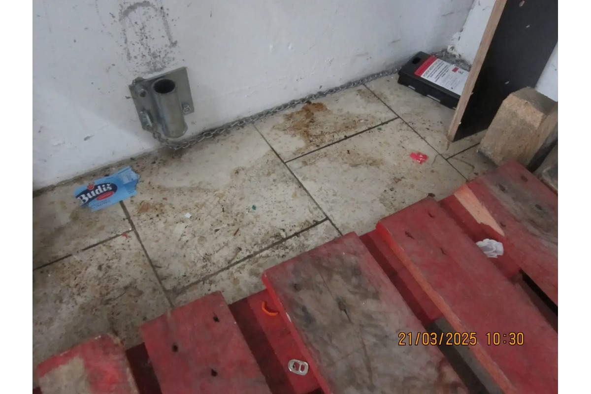 FOTO: Inšpektori kontrolovali predajne potravín. Našli v nich pleseň, mŕtve hlodavce aj trus v potravinách, foto 4