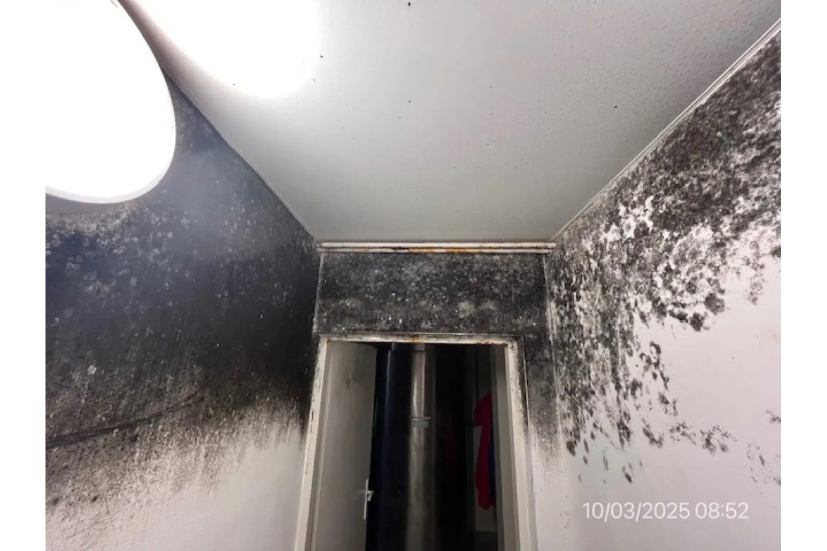 FOTO: Inšpektori kontrolovali predajne potravín. Našli v nich pleseň, mŕtve hlodavce aj trus v potravinách, foto 7