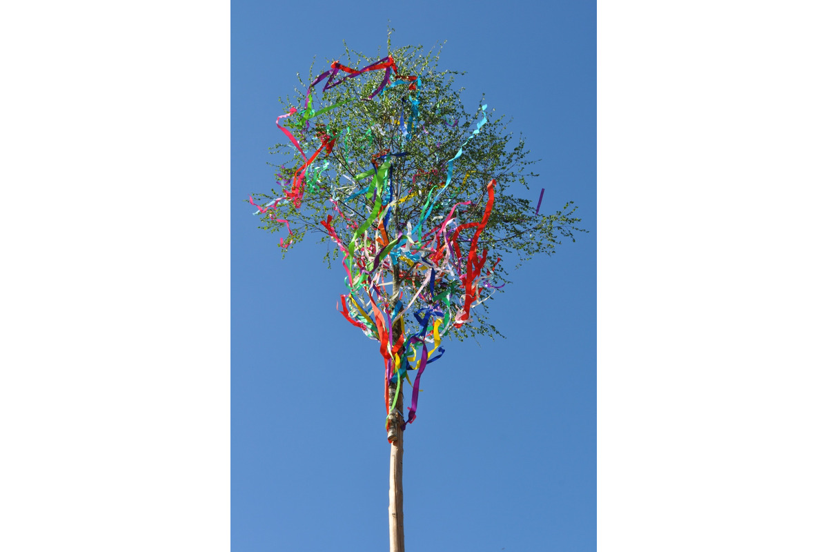 FOTO: Stavanie májov v Prešovskom kraji, foto 19