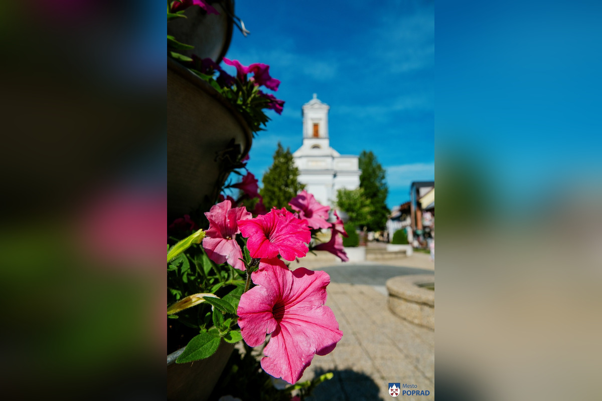 FOTO: Letničky v Poprade žiaria farbami. Námestia aj sídliska kvitnú, foto 2