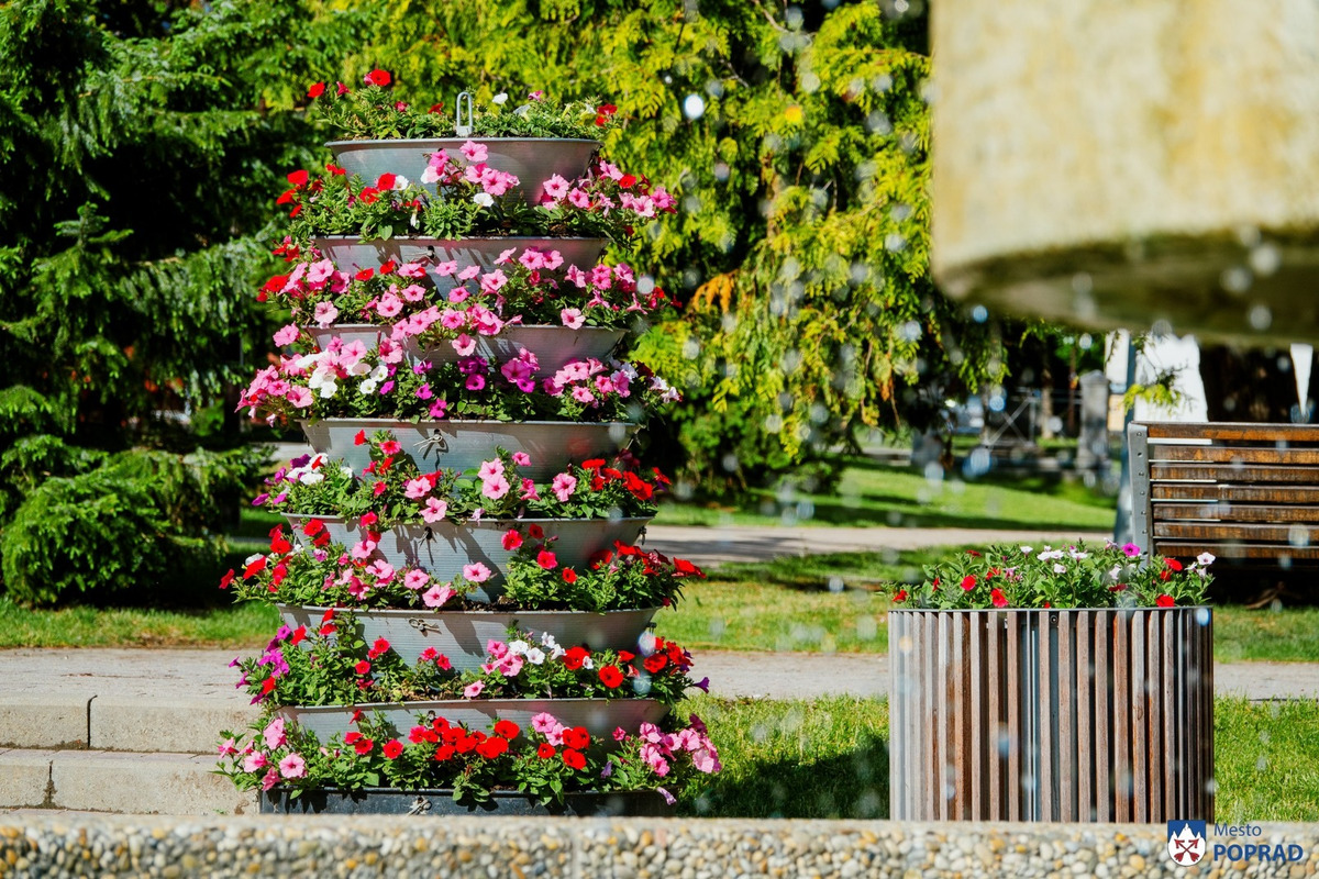 FOTO: Letničky v Poprade žiaria farbami. Námestia aj sídliska kvitnú, foto 8