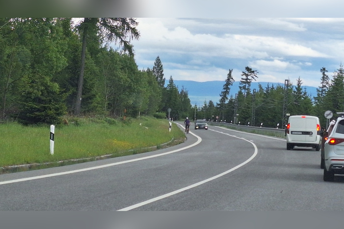 FOTO: Na chodníku pri hlavnej ceste v Tatrách sa pohybovala medvedica s mláďaťom, foto 1