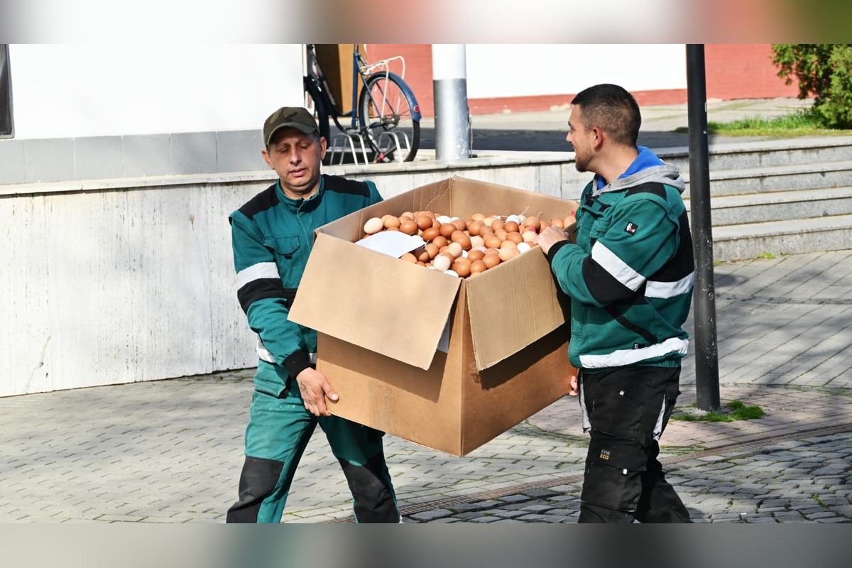 FOTO: Vyfúkli tisíce vajíčok, mesto im za to zasadilo stromy, sadili ich žiaci, foto 1