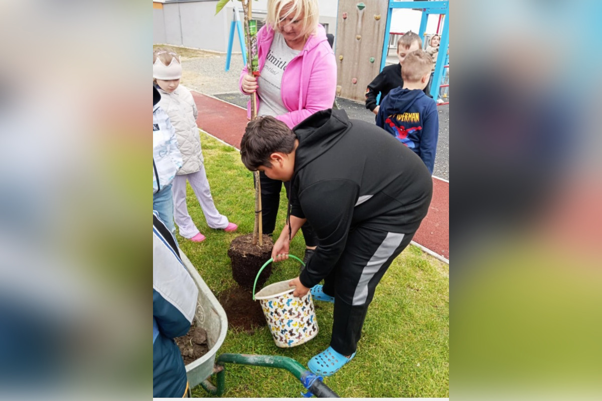 FOTO: Vyfúkli tisíce vajíčok, mesto im za to zasadilo stromy, sadili ich žiaci, foto 2