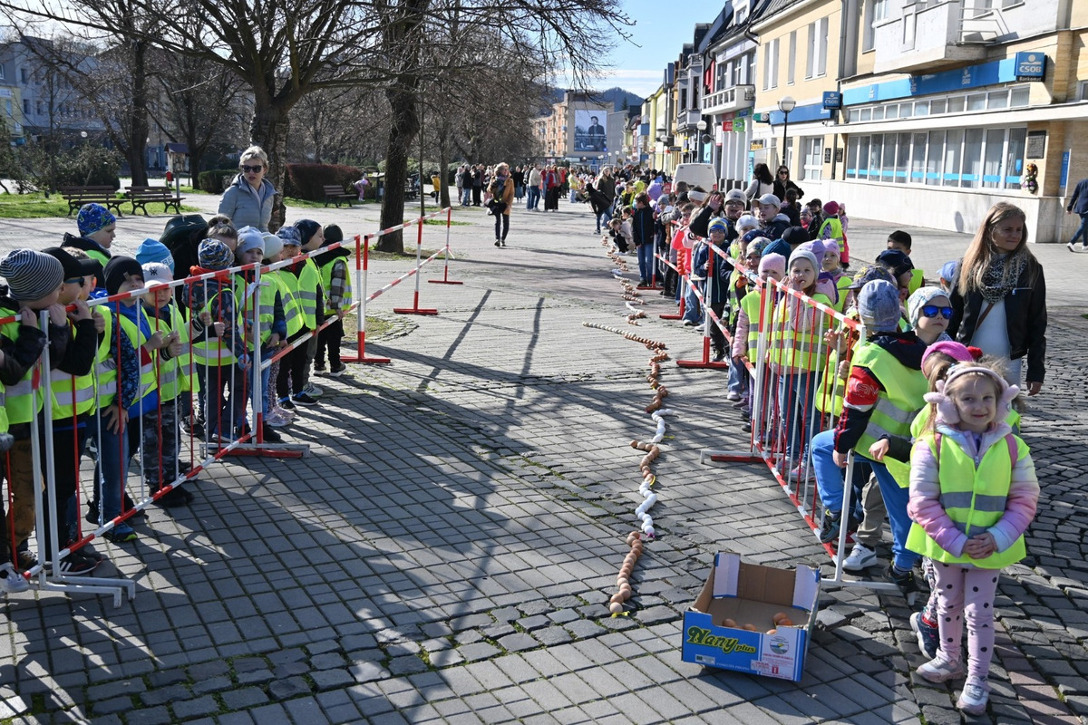 FOTO: Vyfúkli tisíce vajíčok, mesto im za to zasadilo stromy, sadili ich žiaci, foto 8