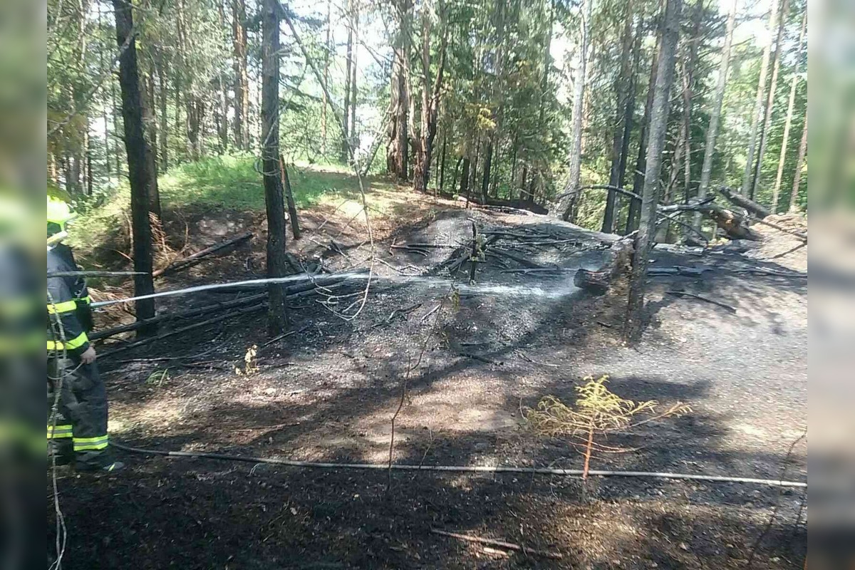 FOTO: Vo Svite došlo k požiaru lesa, na mieste zasahovalo takmer 30 hasičov, foto 1