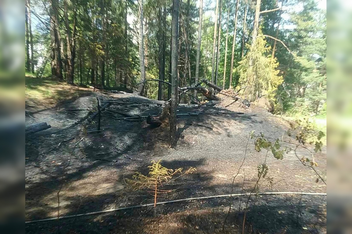 FOTO: Vo Svite došlo k požiaru lesa, na mieste zasahovalo takmer 30 hasičov, foto 2