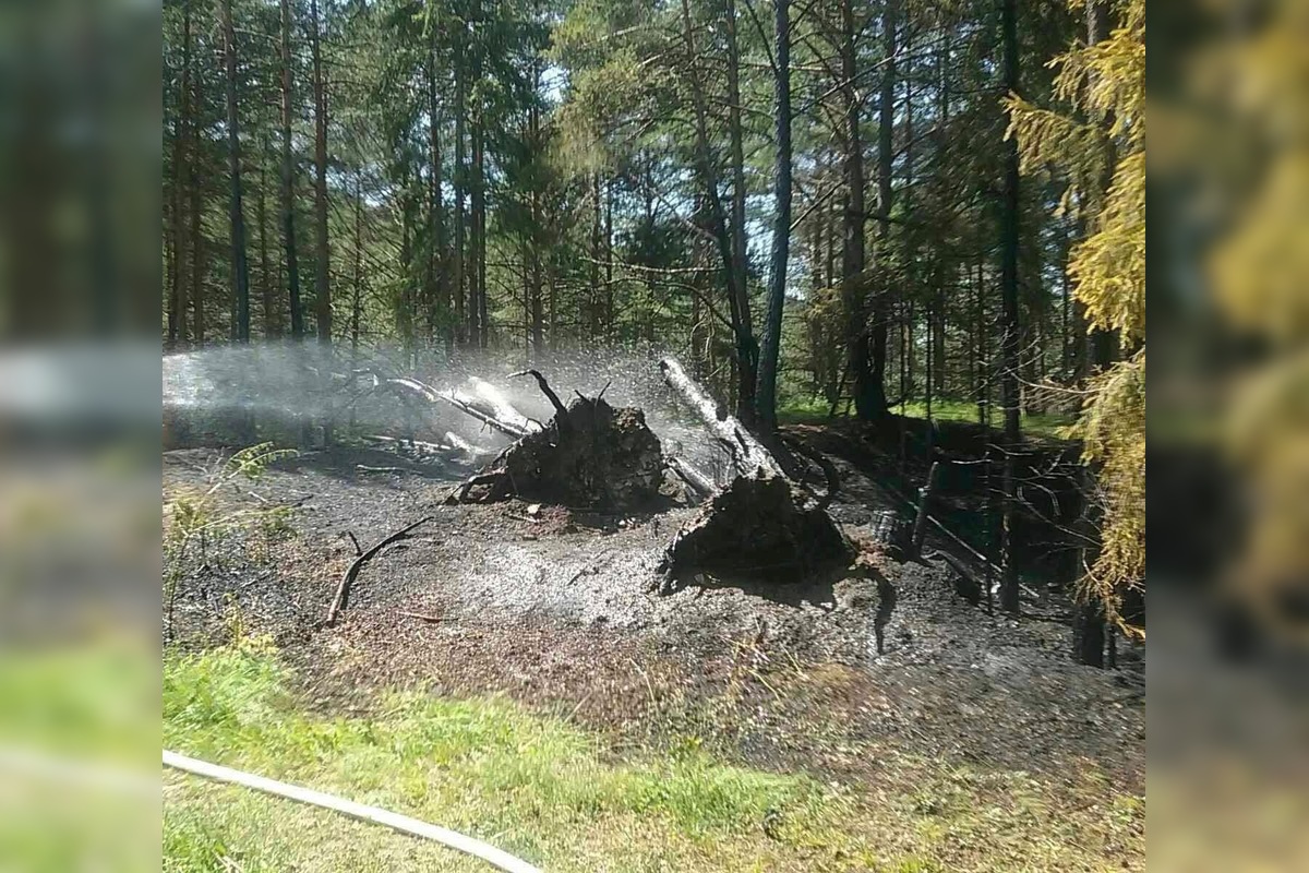 FOTO: Vo Svite došlo k požiaru lesa, na mieste zasahovalo takmer 30 hasičov, foto 3