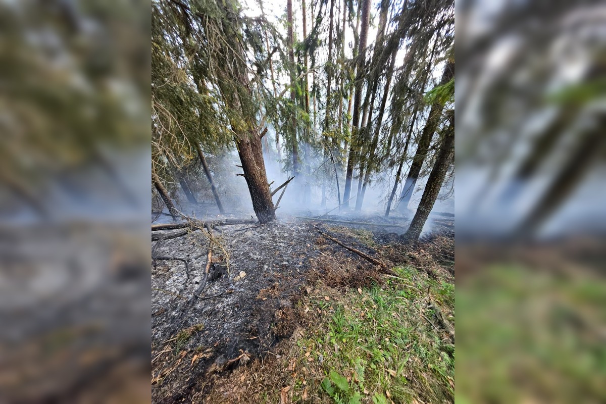  FOTO: Požiar starého lesa pod Kimberkom. Hasiči bojujú s ohňom aj vetrom, foto 2