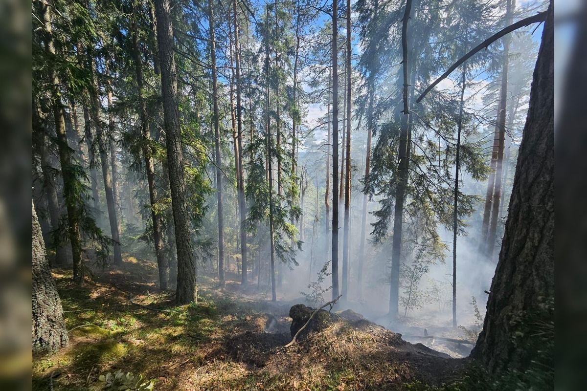  FOTO: Požiar starého lesa pod Kimberkom. Hasiči bojujú s ohňom aj vetrom, foto 3