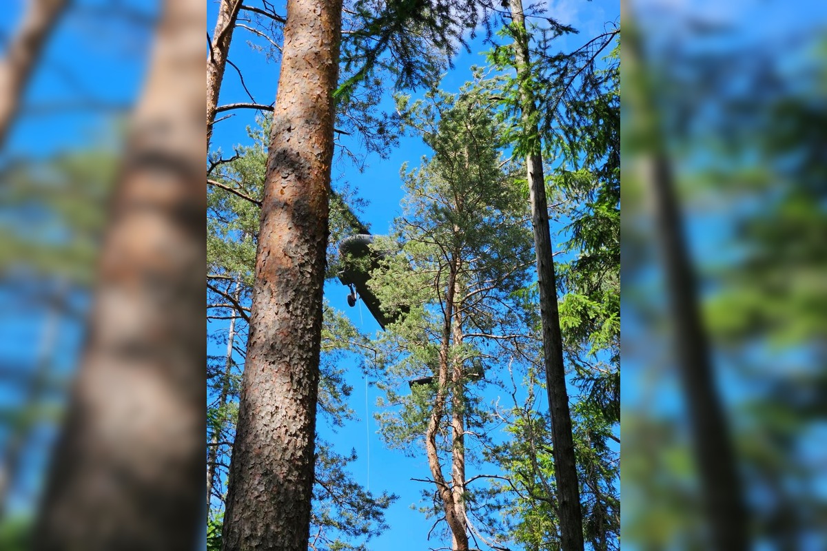  FOTO: Požiar starého lesa pod Kimberkom. Hasiči bojujú s ohňom aj vetrom, foto 4