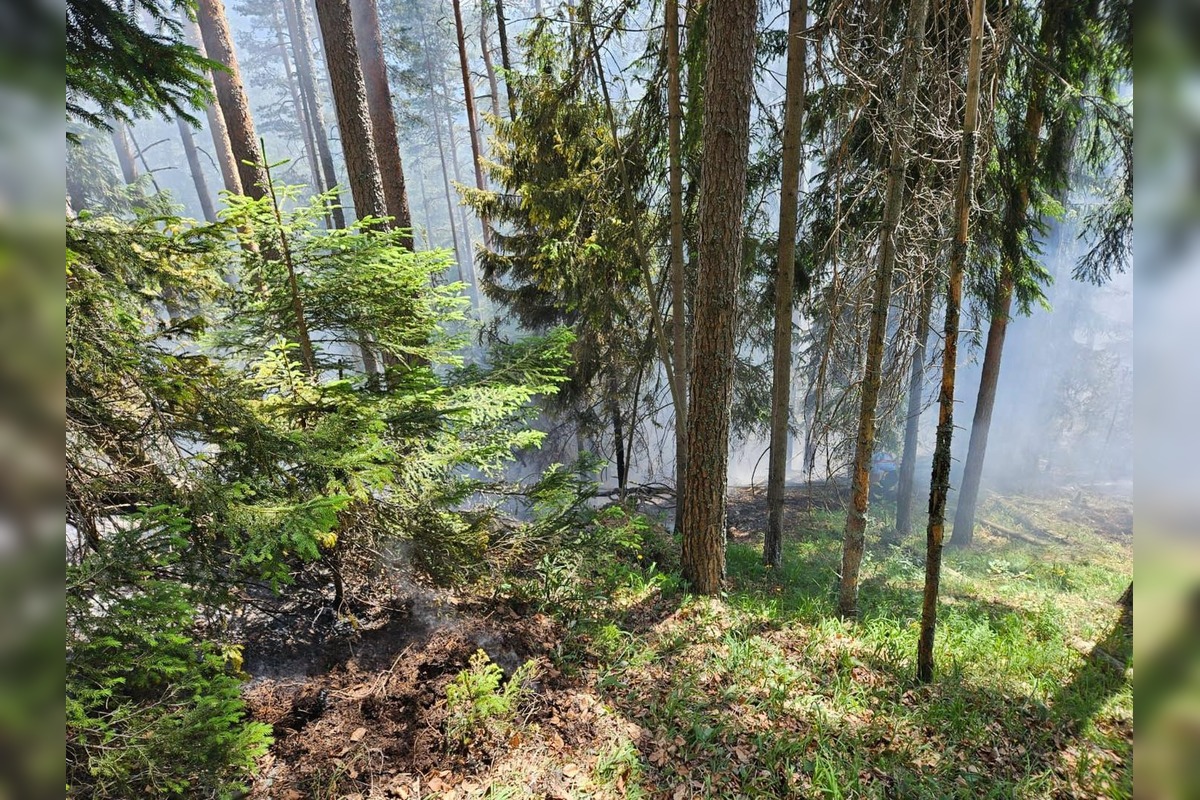  FOTO: Požiar starého lesa pod Kimberkom. Hasiči bojujú s ohňom aj vetrom, foto 5