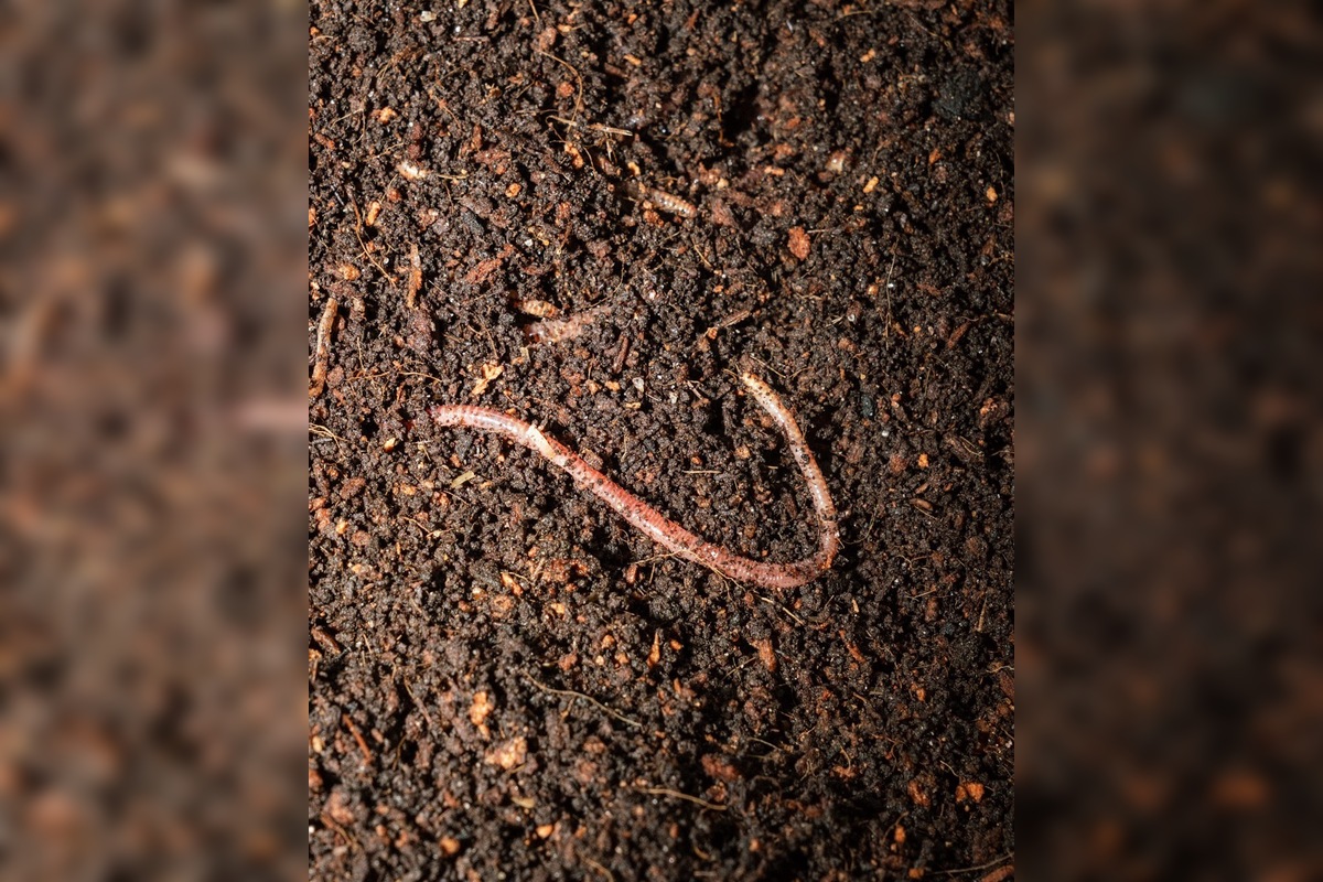 FOTO: Pri Chate pod Rysmi už pribudli nové záchody, foto 10