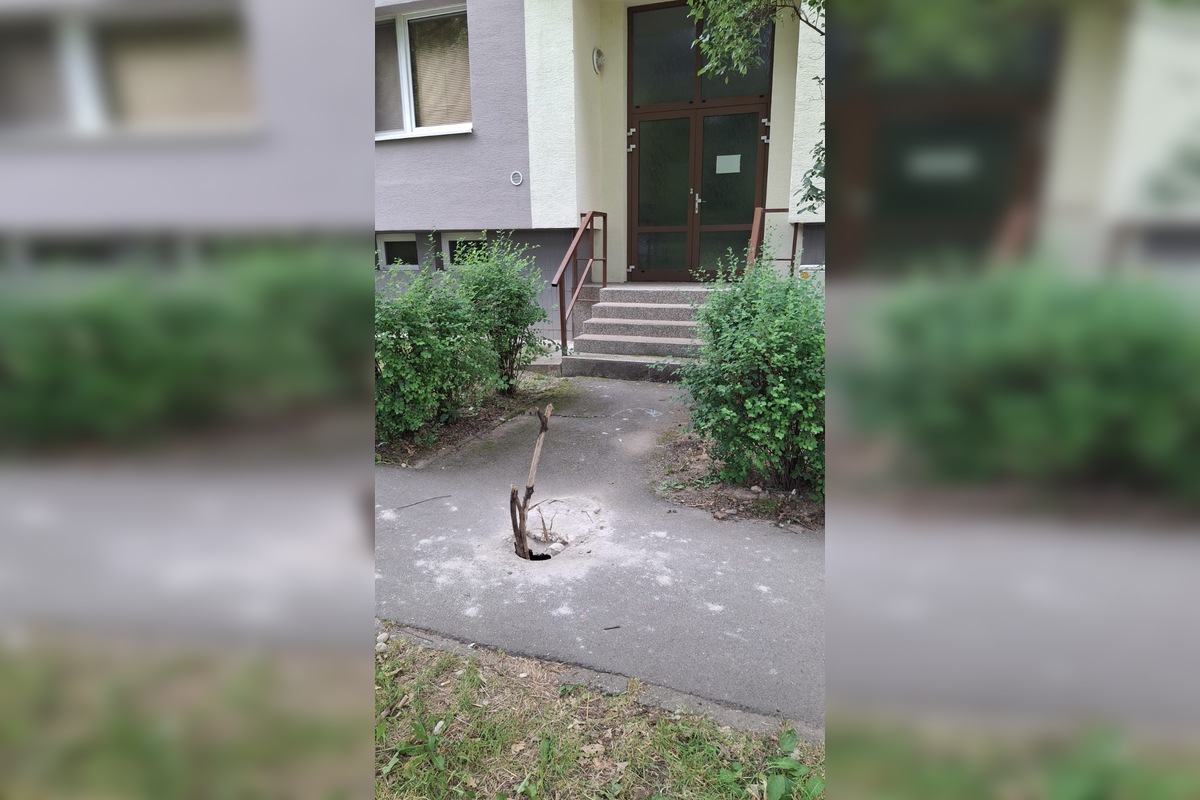 FOTO: Z diery na chodníku v Prešove sa týči obrovský konár, foto 2