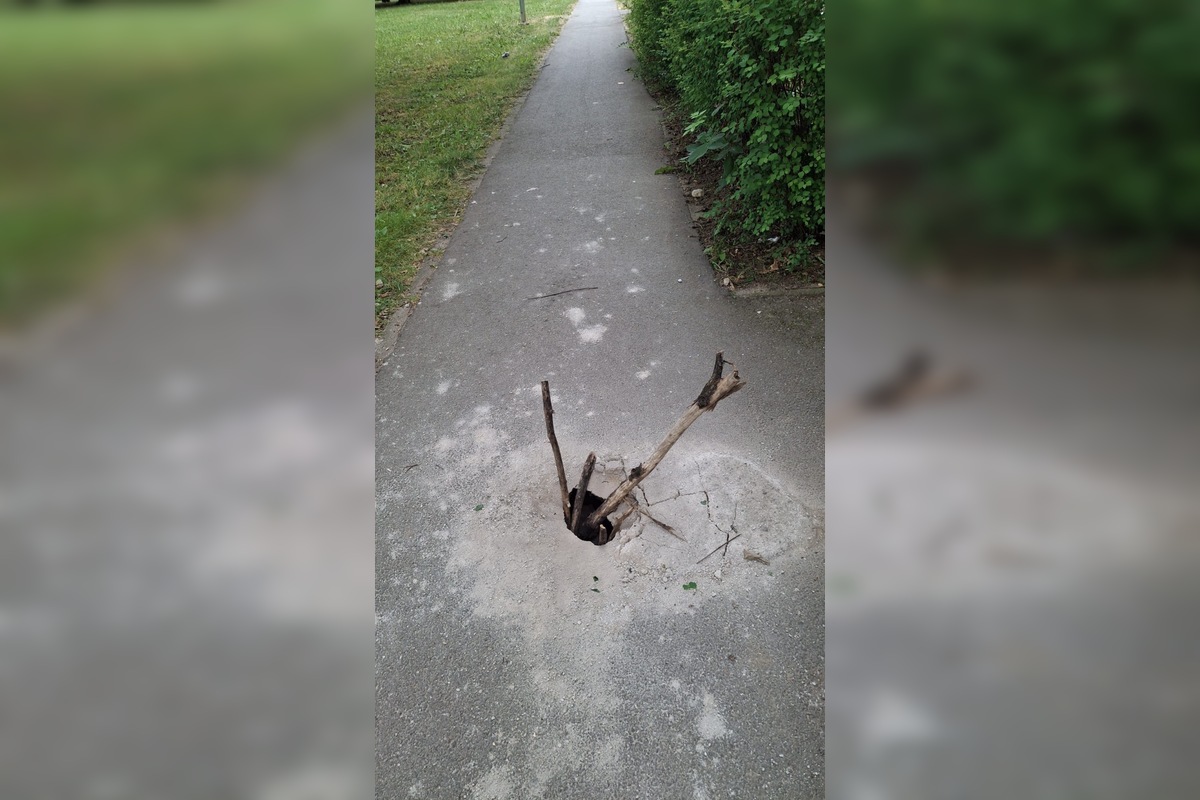 FOTO: Z diery na chodníku v Prešove sa týči obrovský konár, foto 3