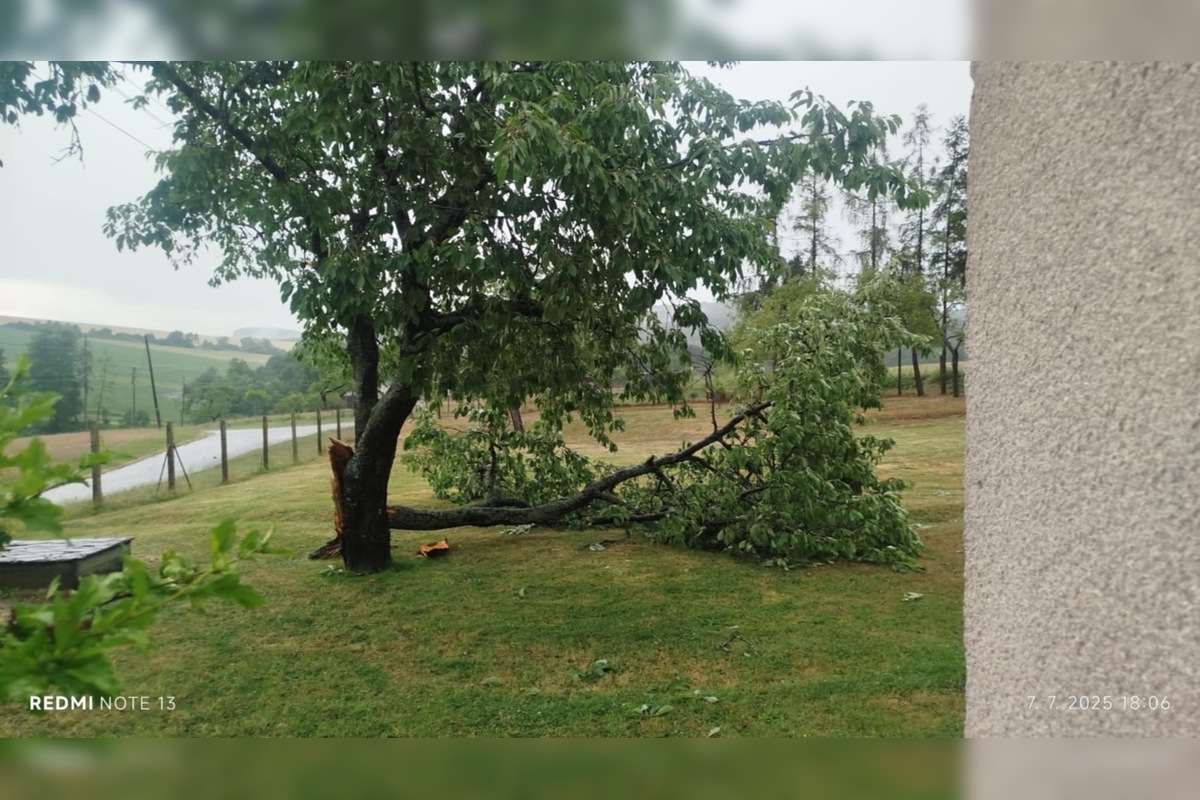FOTO: Supercela udrela aj v Prešove. Obyvatelia hlásia popadané strechy, foto 15