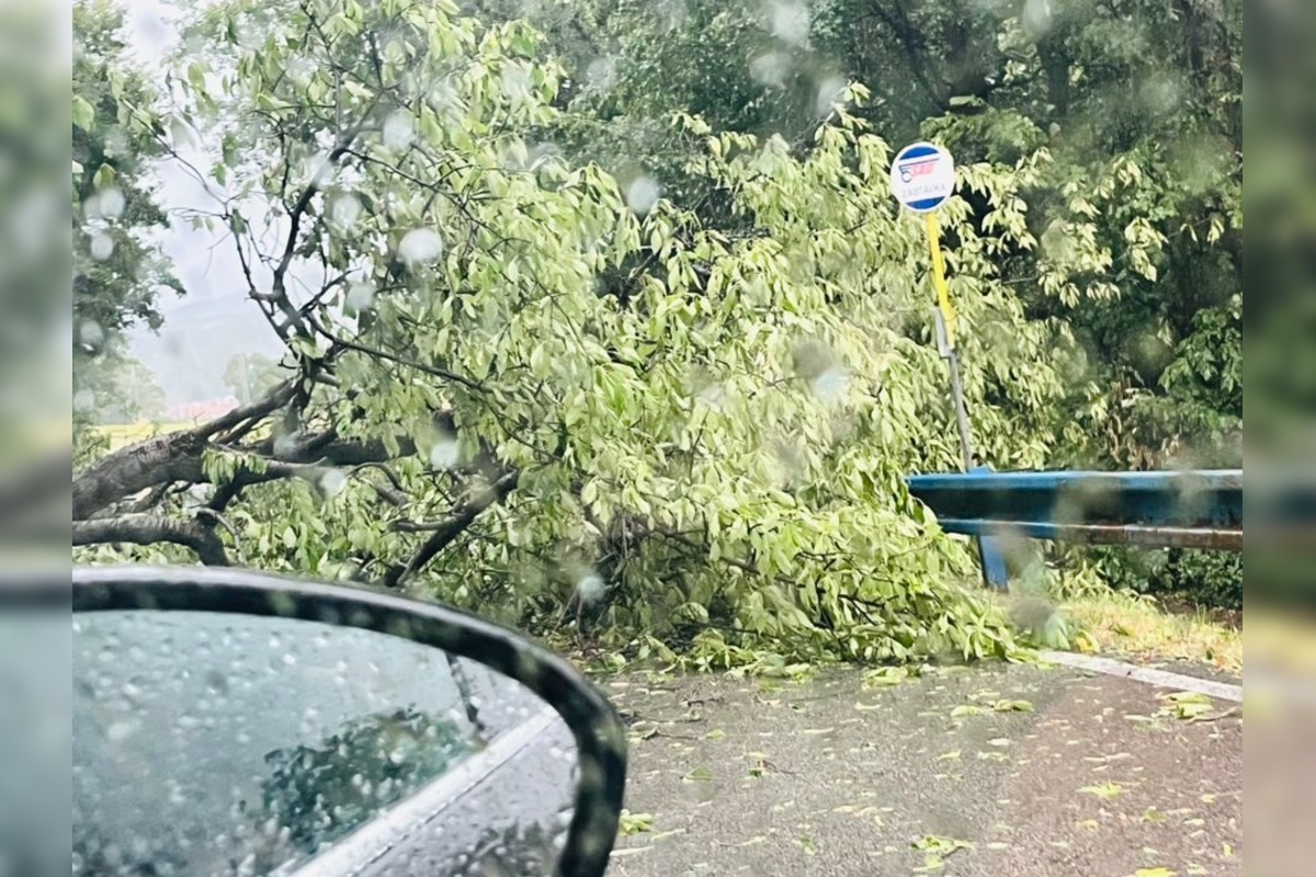 FOTO: Supercela udrela aj v Prešove. Obyvatelia hlásia popadané strechy, foto 25