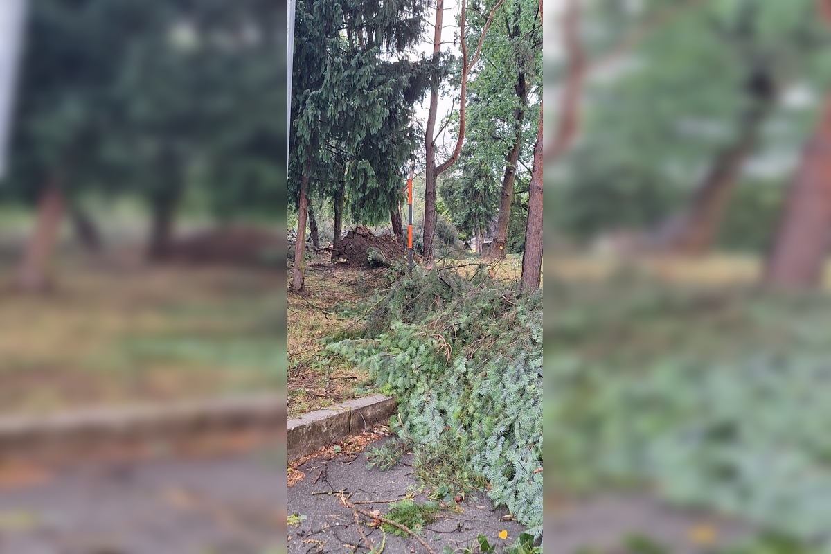 FOTO: Po supercele zostali v Prešovskom kraji obrovské škody. , foto 13