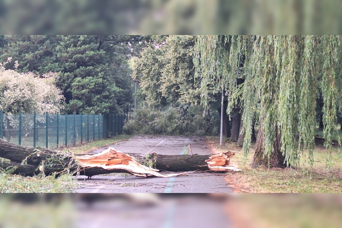 FOTO: Po supercele zostali v Prešovskom kraji obrovské škody. , foto 14