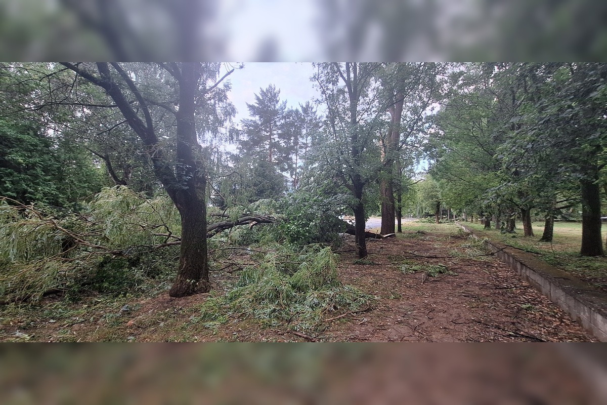 FOTO: Po supercele zostali v Prešovskom kraji obrovské škody. , foto 16