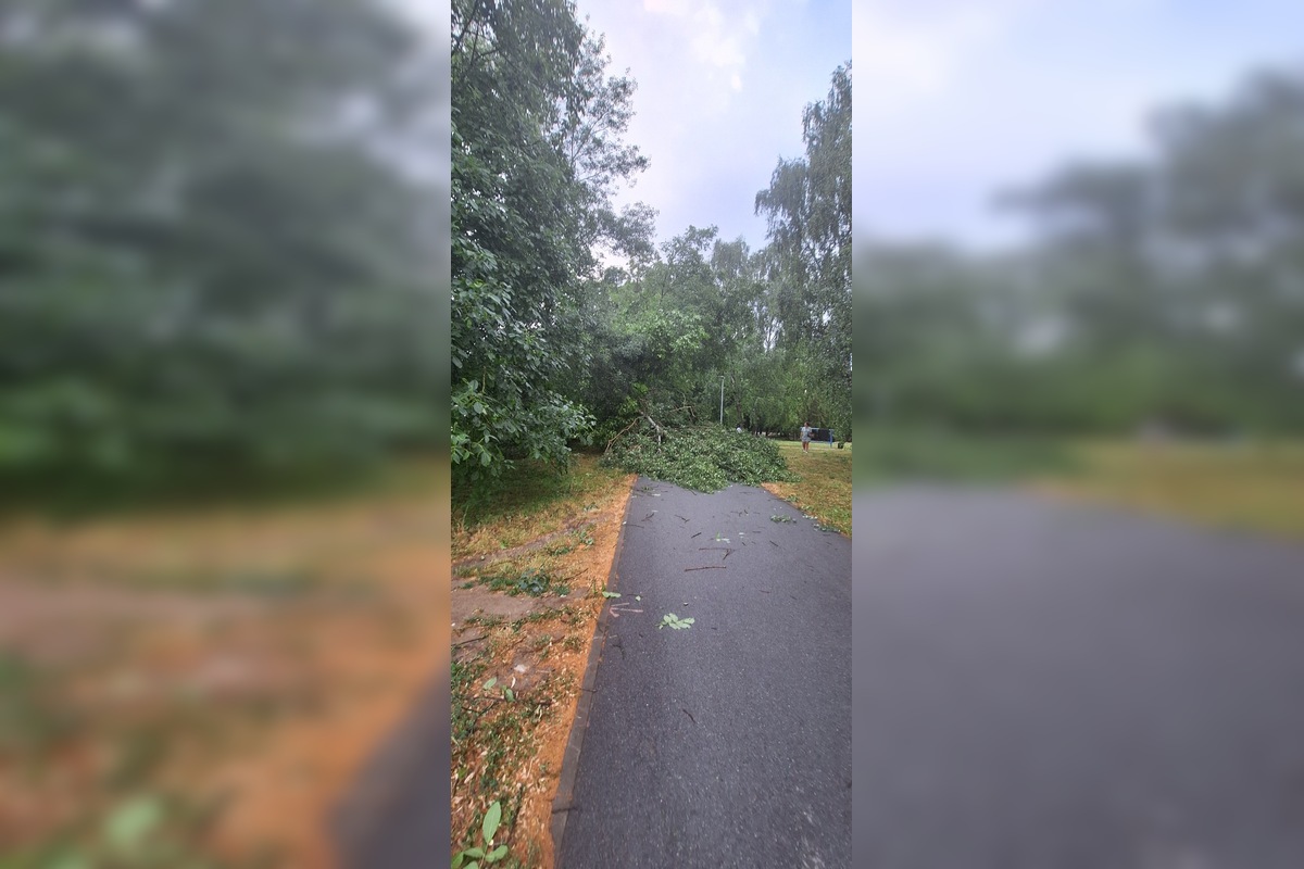 FOTO: Po supercele zostali v Prešovskom kraji obrovské škody. , foto 17