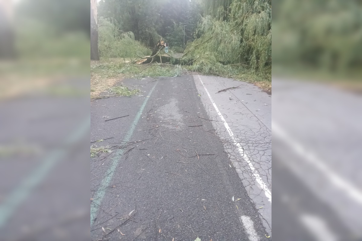 FOTO: Po supercele zostali v Prešovskom kraji obrovské škody. , foto 28