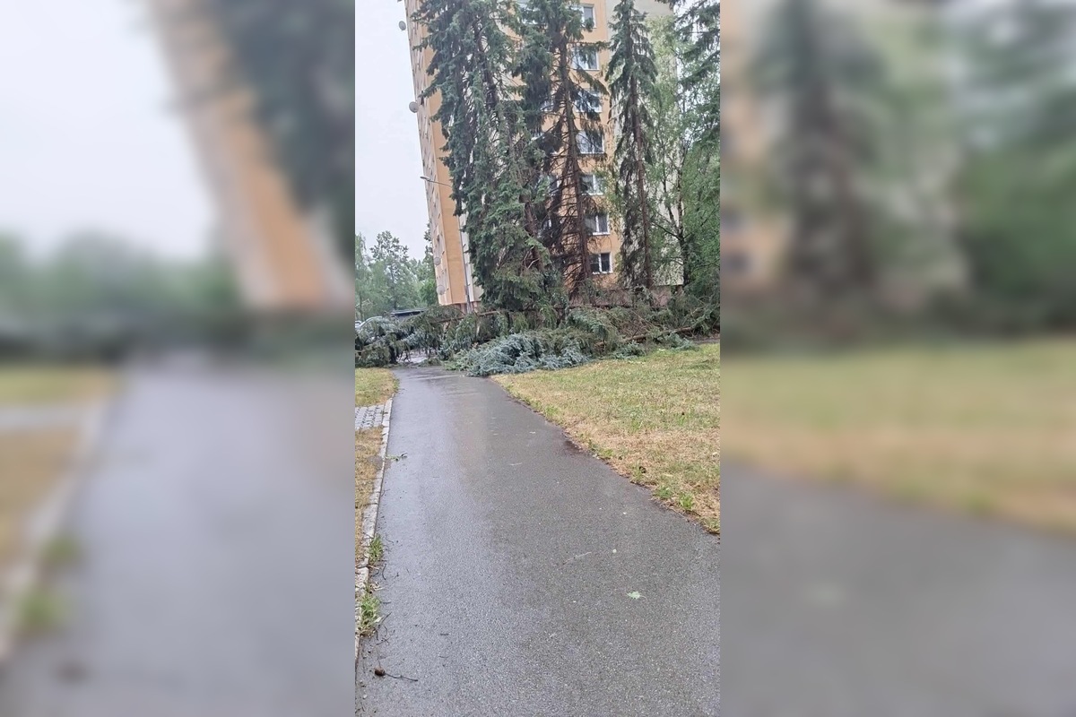 FOTO: Po supercele zostali v Prešovskom kraji obrovské škody. , foto 29