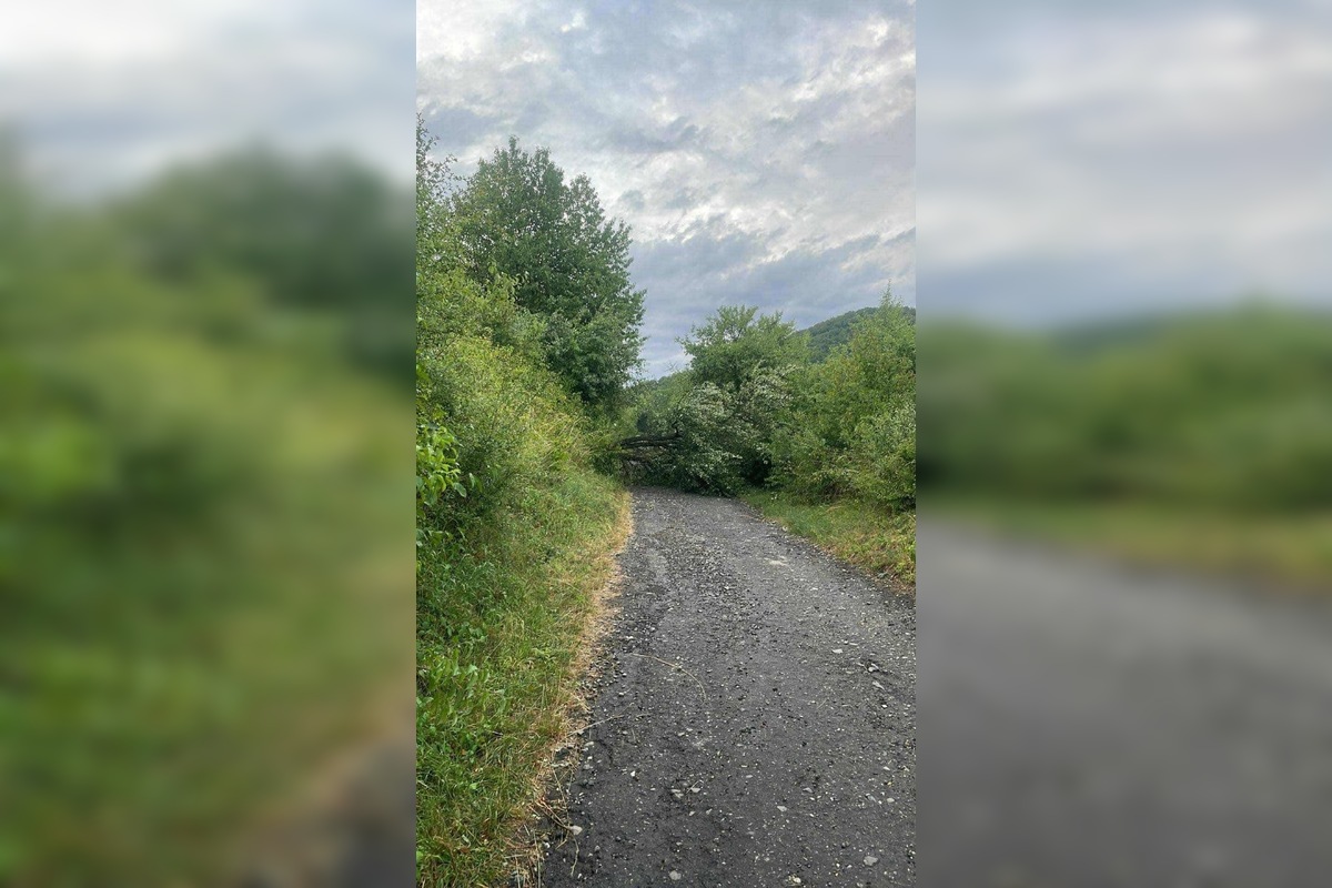 FOTO: Po supercele zostali v Prešovskom kraji obrovské škody. , foto 38