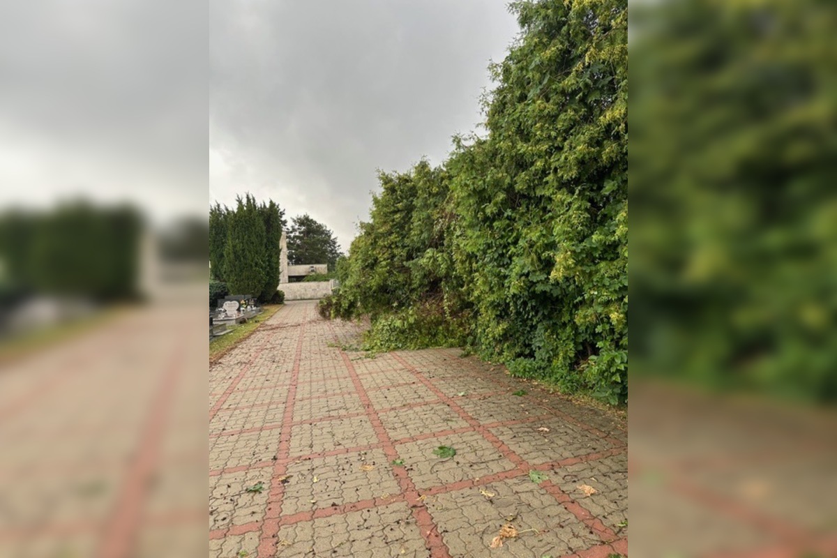 FOTO: Po pondelkovej spúšti ostávajú cintoríny v Prešove zatvorené, foto 4