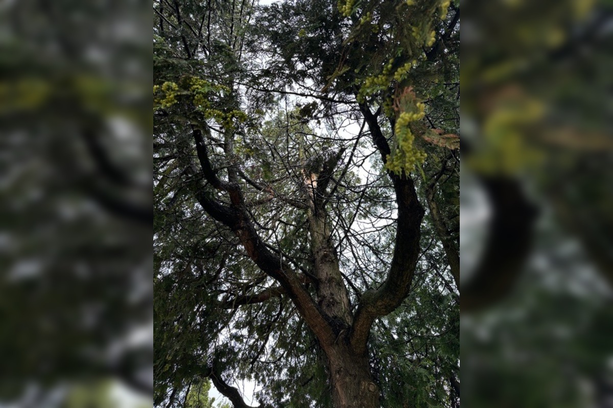 FOTO: Po pondelkovej spúšti ostávajú cintoríny v Prešove zatvorené, foto 8