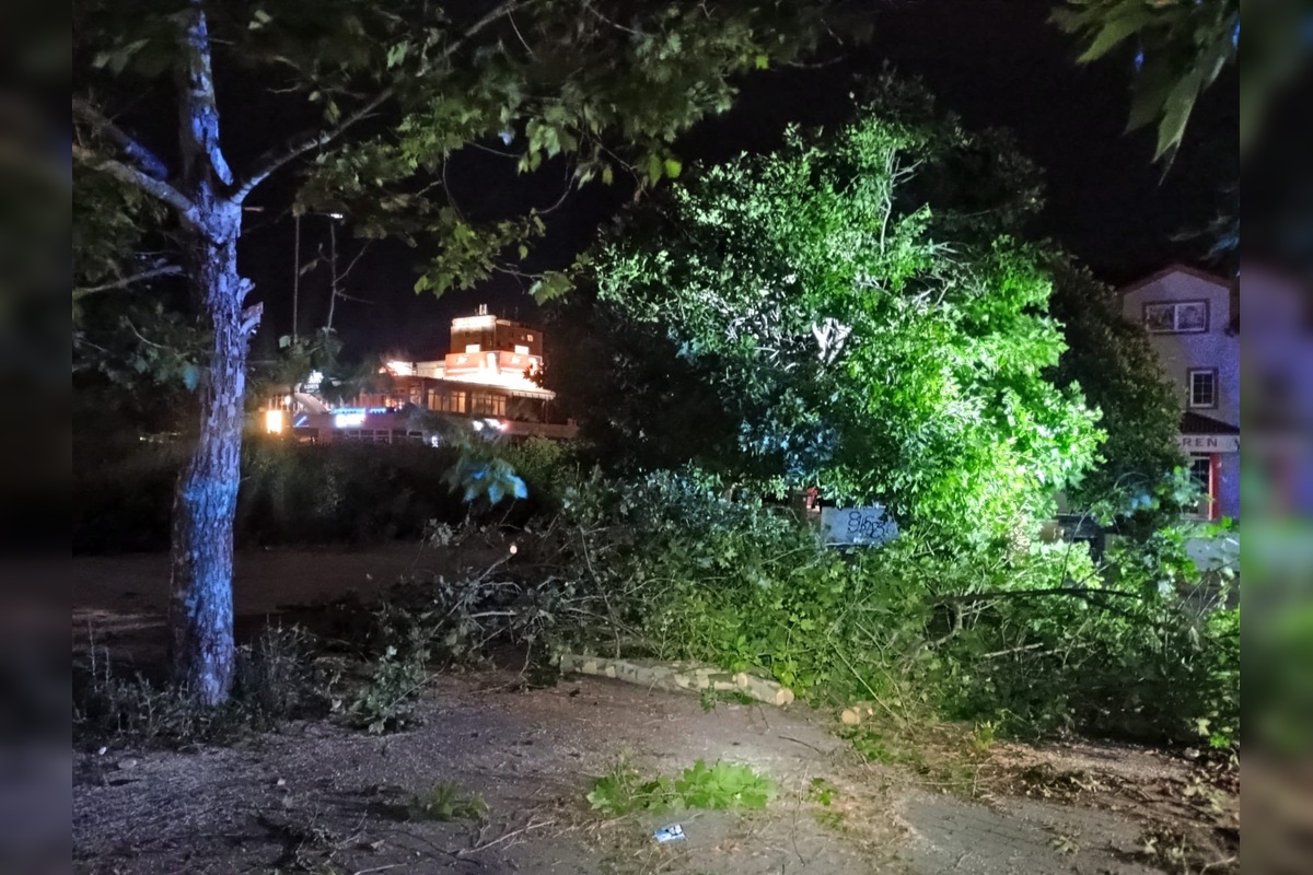 FOTO: Aká je aktuálna situácia po ničivej búrke v Prešove? , foto 4