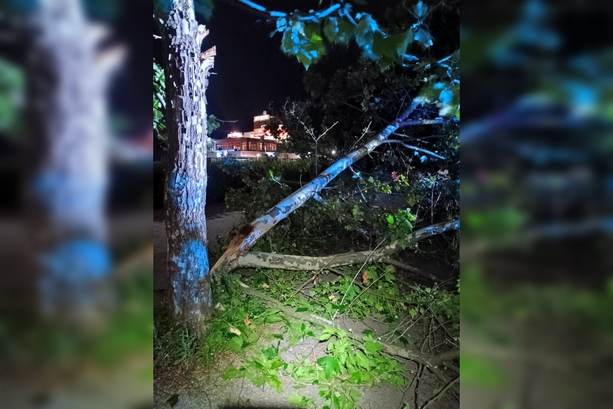 FOTO: Aká je aktuálna situácia po ničivej búrke v Prešove? , foto 6