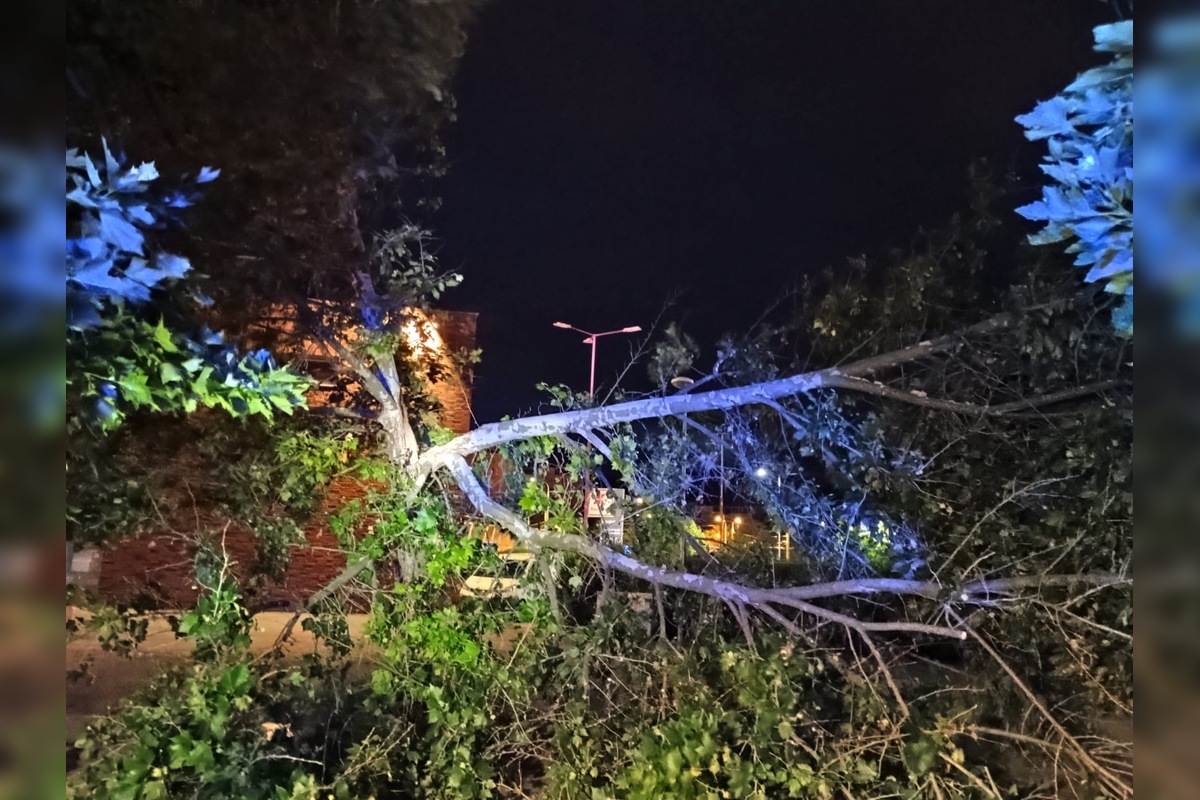 FOTO: Aká je aktuálna situácia po ničivej búrke v Prešove? , foto 7