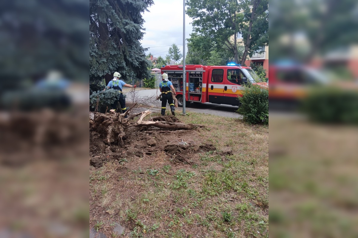 FOTO: Aká je aktuálna situácia po ničivej búrke v Prešove? , foto 8