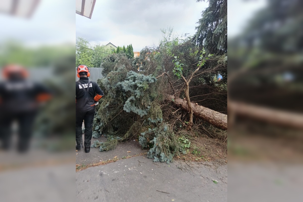 FOTO: Aká je aktuálna situácia po ničivej búrke v Prešove? , foto 9