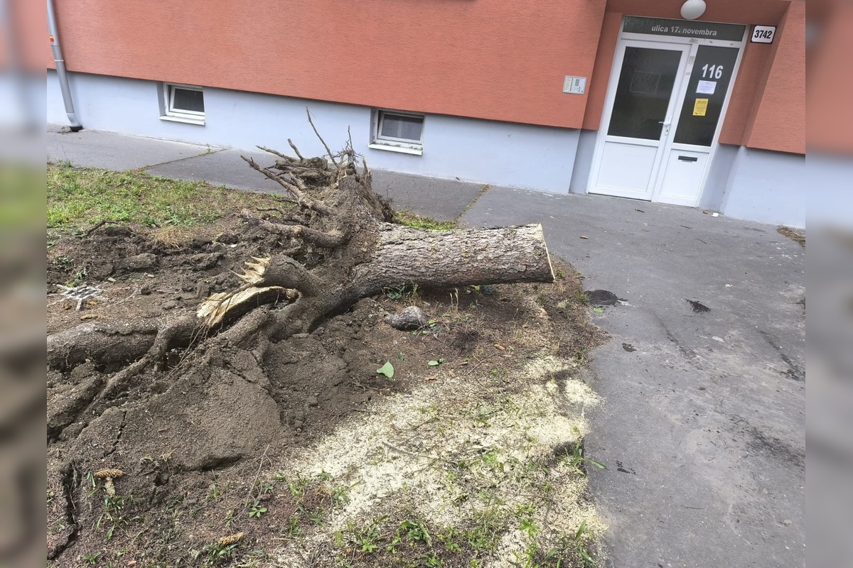 FOTO: Aká je aktuálna situácia po ničivej búrke v Prešove? , foto 12