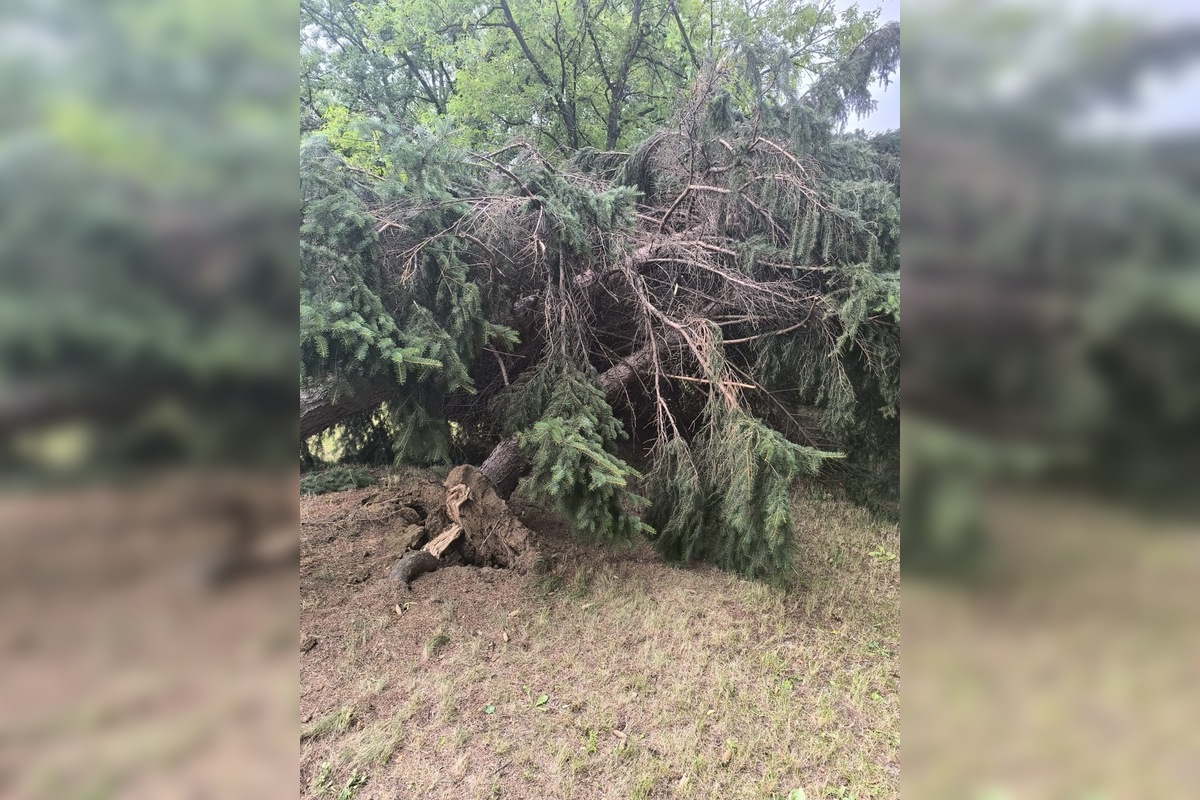 FOTO: Aká je aktuálna situácia po ničivej búrke v Prešove? , foto 13