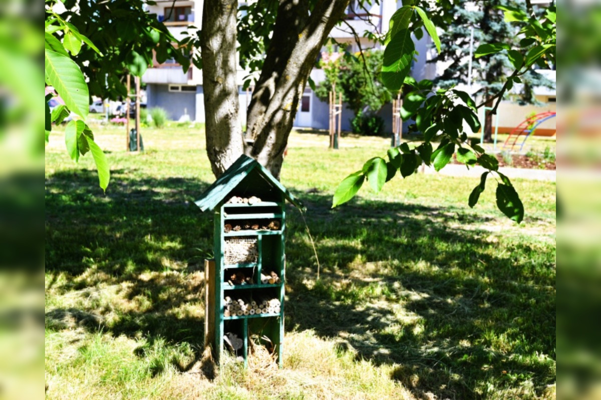 FOTO: V humenskom vnútrobloku pribudla vzácna zeleň, foto 1