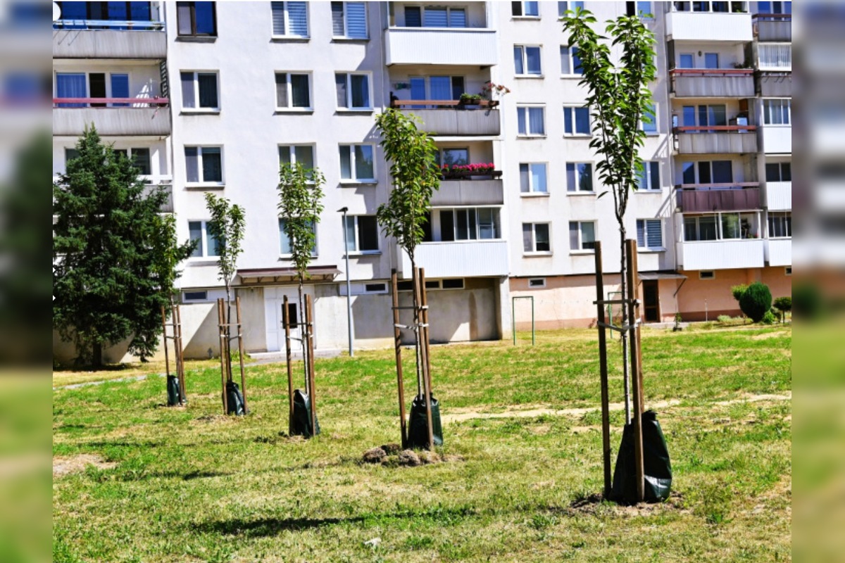 FOTO: V humenskom vnútrobloku pribudla vzácna zeleň, foto 2