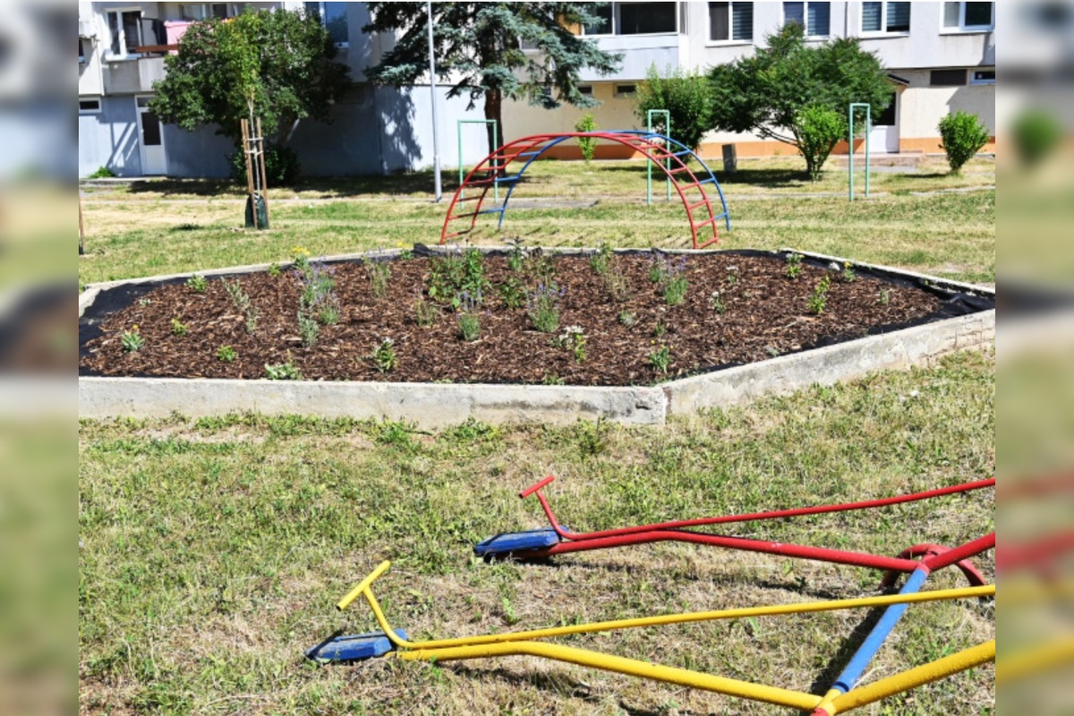 FOTO: V humenskom vnútrobloku pribudla vzácna zeleň, foto 4
