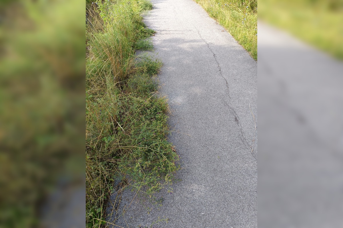 FOTO: Miestni kritizujú stav parku na Sekčove – odpadky a zarastené chodníky, foto 1