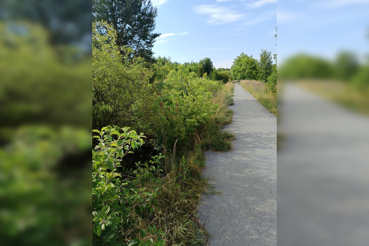 FOTO: Miestni kritizujú stav parku na Sekčove – odpadky a zarastené chodníky, foto 4