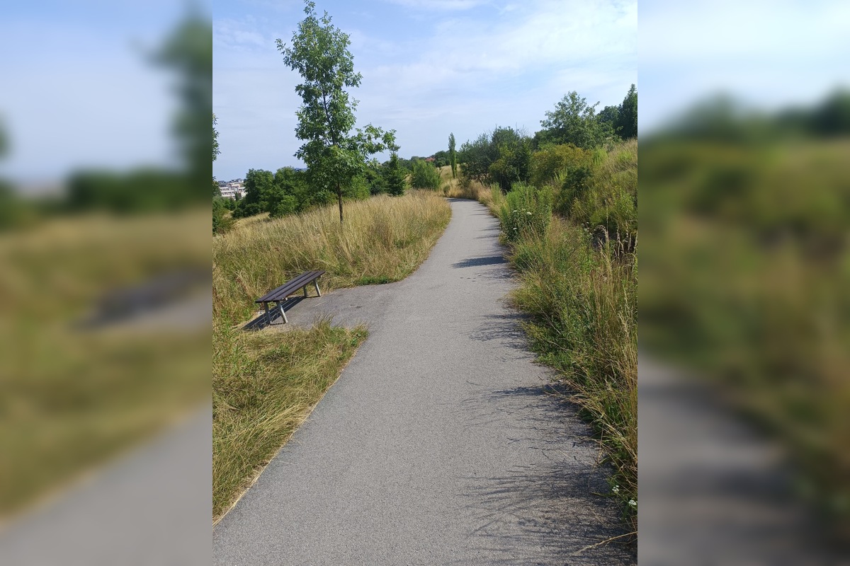 FOTO: Miestni kritizujú stav parku na Sekčove – odpadky a zarastené chodníky, foto 5